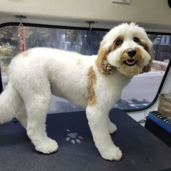 Ez Pet Mobile - Pet Groomers Near Me - Sunnyvale, California