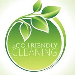 Baby and Pet safe cleaning products