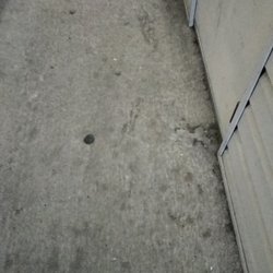 Crescent Cove Apartments - Filthy staircases with spit, etc