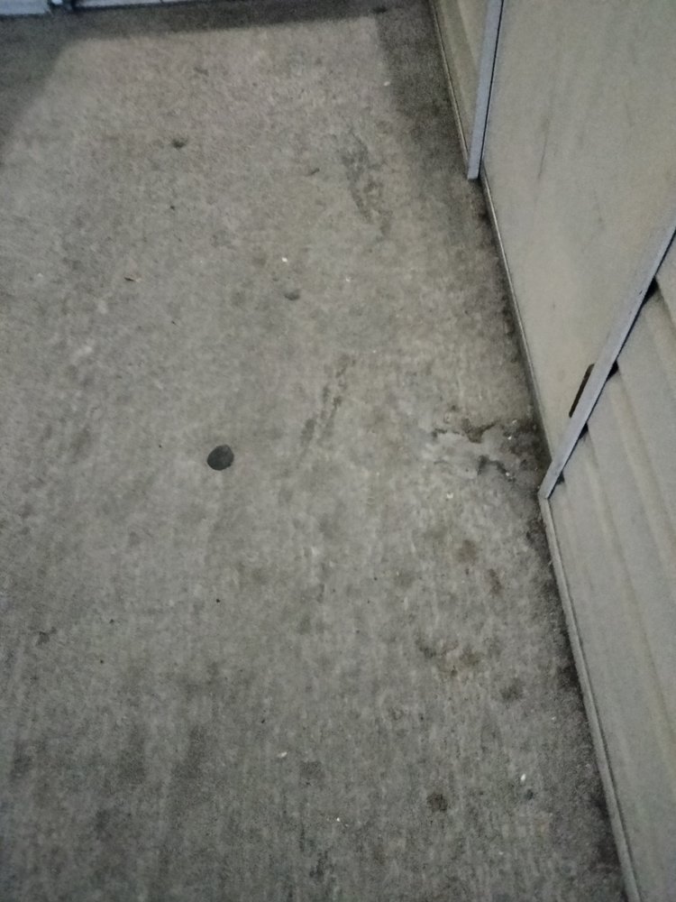 CRESCENT COVE APTS Updated September 2024 11 Reviews 2540