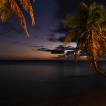 Trade Winds - In Front of Trade Winds Guest House - Seafood Near Me - Vieques, Puerto Rico
