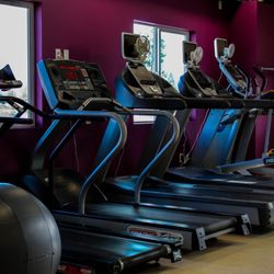 Health Quest Physical Therapy & Fitness Center - Treadmill row at our Fitness Center available 24/7!