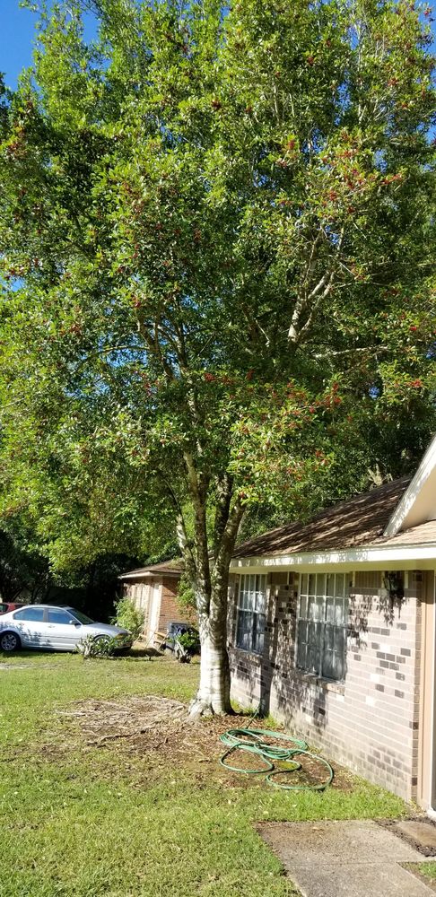 OUT ON A LIMB - Updated July 2026 - 9 Fleetwood Pl, Ocean Springs ...