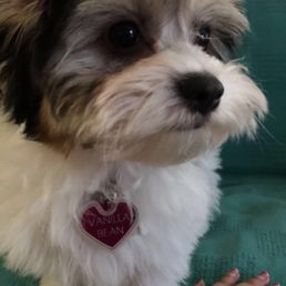 Post grooming! Post grooming!
