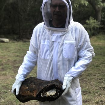 Go Away Pest Control - Pest Control Near Me Go Away Pest Control - Pest Control Near Me