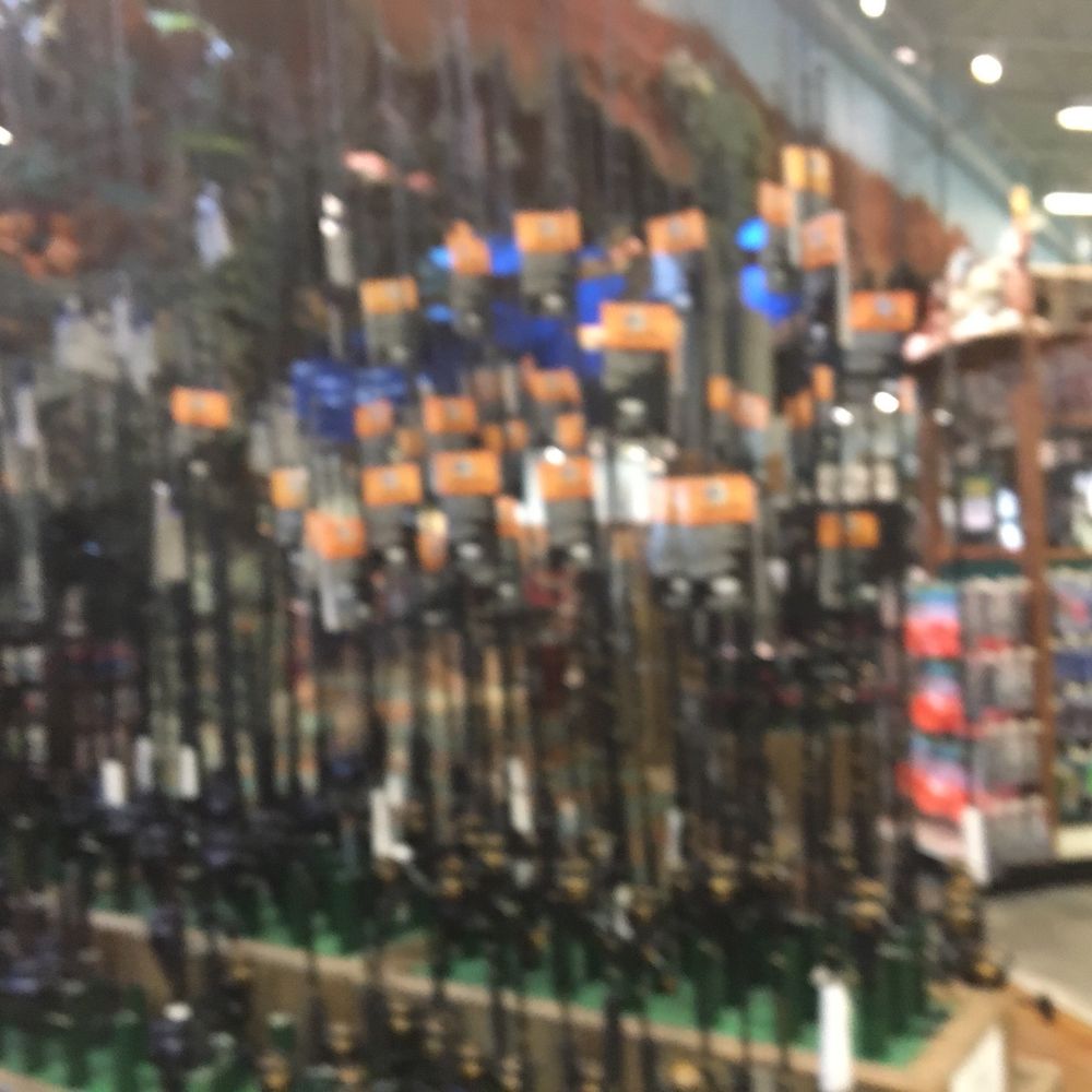 Bass Pro Shops - Fishing - Hunting & Fishing Supplies Near Me - Miami, Florida