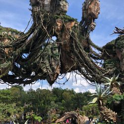 Avatar Flight of Passage - View of Pandora from the Flight of Passage line