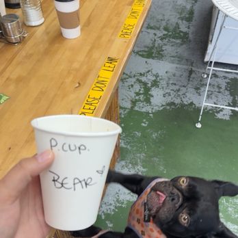 Happy Hippies Java Hut - Pup cup: house made whip cream, dog safe peanut butter, and a dog treat :) - Coffee & Tea Near Me - Kure Beach, North Carolina