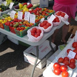 Coon Rapids Outdoor Farmer's Market - A nice variety of colorful tomatoes!