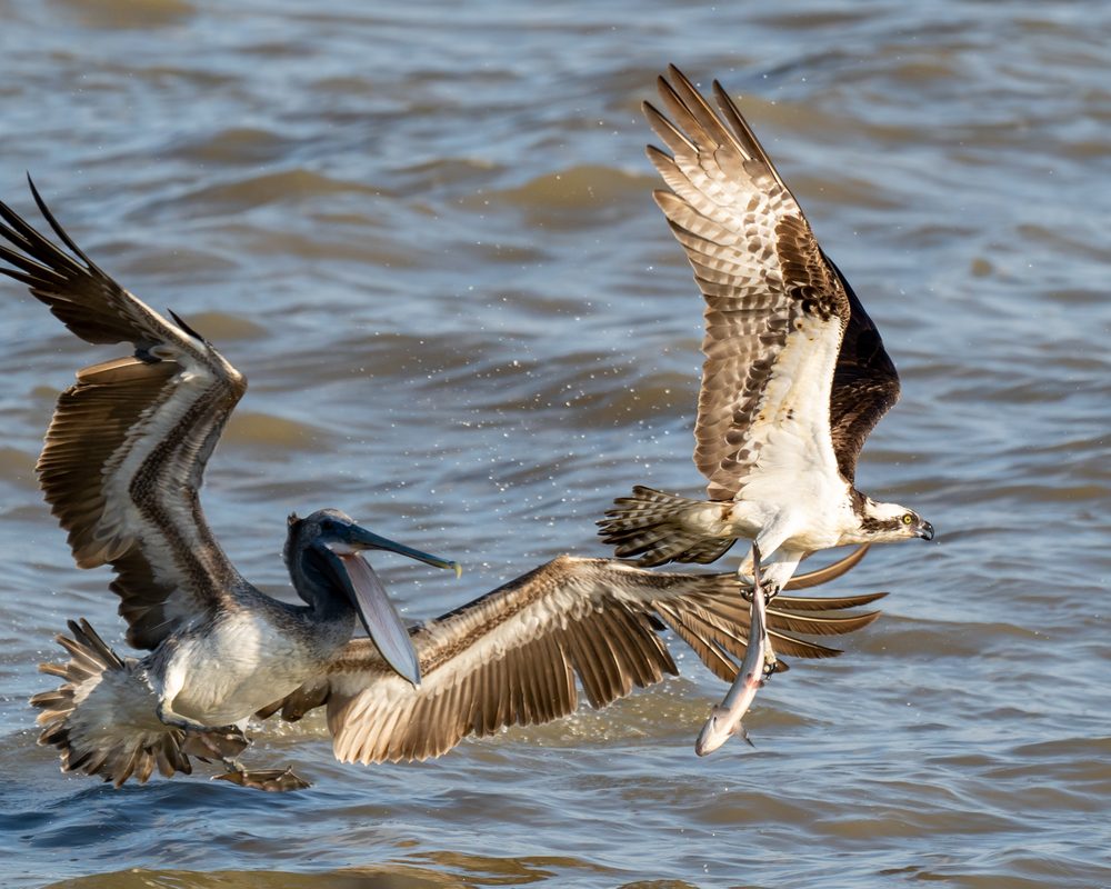 LION S BRIDGE Updated July 2024 35 Photos 1 3 Museum Dr Newport