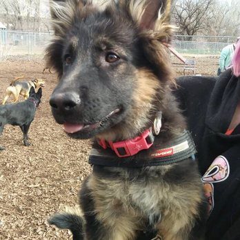 Ogden Dog Park - Dog Parks Near Me - Ogden, Utah Ogden Dog Park - Dog Parks Near Me - Ogden, Utah