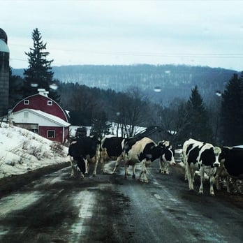 Frank Lumia Real Estate PLUS - Traffic in the Catskills - Real Estate Agents Near Me - Delhi, New York Frank Lumia Real Estate PLUS - Traffic in the Catskills - Real Estate Agents Near Me - Delhi, New York
