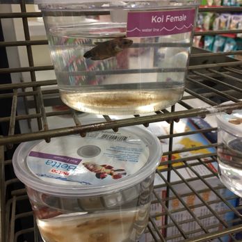 Petco - Filthy cups. - Pet Training Near Me - Fairfax, Virginia