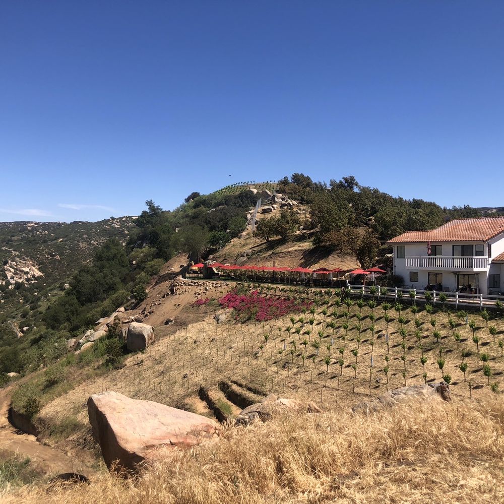 Let's Go Vino - Wine Tours Near Me Let's Go Vino - Wine Tours Near Me