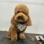 Photo of Magic Pets House Mobile Grooming