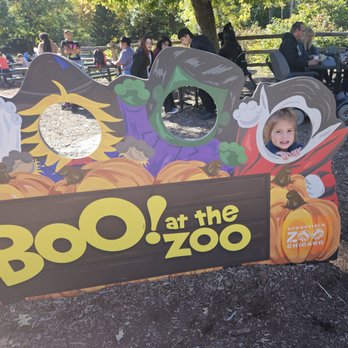 Brookfield Zoo Chicago - Boo at the Zoo was so much fun! Bouncehouses, candy and animals of course! - Zoos Near Me - Brookfield, Illinois Brookfield Zoo Chicago - Boo at the Zoo was so much fun! Bouncehouses, candy and animals of course! - Zoos Near Me - Brookfield, Illinois