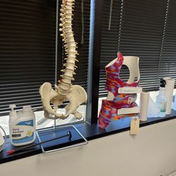 Spine Health & Wellness