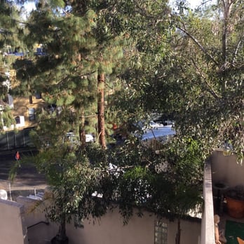 Avalon Studio City - Construction starting before 8am - Apartments Near Me - Studio City, California