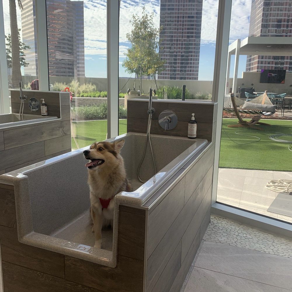 Aspire Post Oak - Paw Spa! - Apartments Near Me - Houston, Texas
