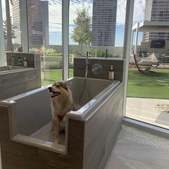 Aspire Post Oak - Paw Spa! - Apartments Near Me - Houston, Texas Aspire Post Oak - Paw Spa! - Apartments Near Me - Houston, Texas