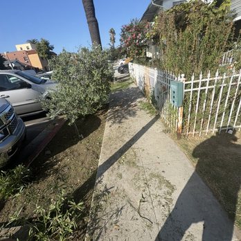 Prime Green Care - Landscaping Near Me - Long Beach, California