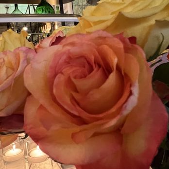 Justine - Flowers - French Near Me - New Orleans, Louisiana Justine - Flowers - French Near Me - New Orleans, Louisiana