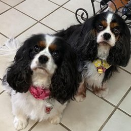 Here are two of them. Here are two of them.