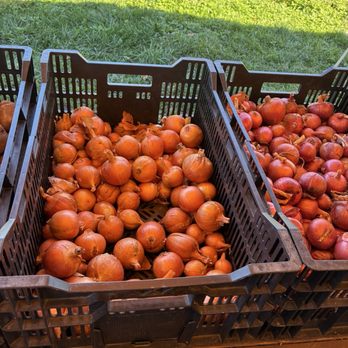 Sunset Farm - Tomatoes - Farmers Market Near Me - Milford, Connecticut Sunset Farm - Tomatoes - Farmers Market Near Me - Milford, Connecticut