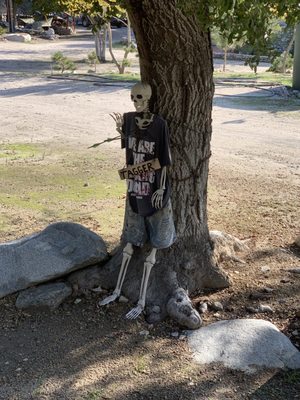 Trail Canyon Falls by null