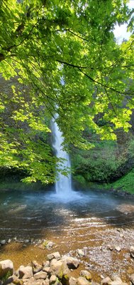Horsetail Falls by null