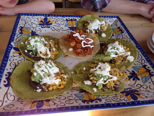 Agave Taco Bar by null