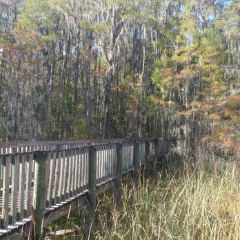 Tibet-Butler Preserve - Parks Near Me - Orlando, Florida Tibet-Butler Preserve - Parks Near Me - Orlando, Florida