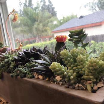Potted - Home Decor Near Me - Los Angeles, California