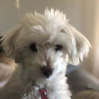 Pet Choice - Before - Pet Stores Near Me - Oakland, California Pet Choice - Before - Pet Stores Near Me - Oakland, California