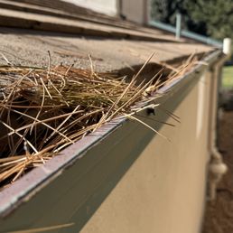 gutters still full 2 days after they allege service was provided