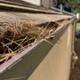 Photo of Denver Gutter Cleaning