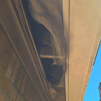 Green Services Termite & Pest Control - Pest Control Near Me Green Services Termite & Pest Control - Pest Control Near Me