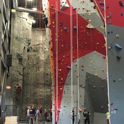 The Commons Climbing Gym - section of roped climbing area