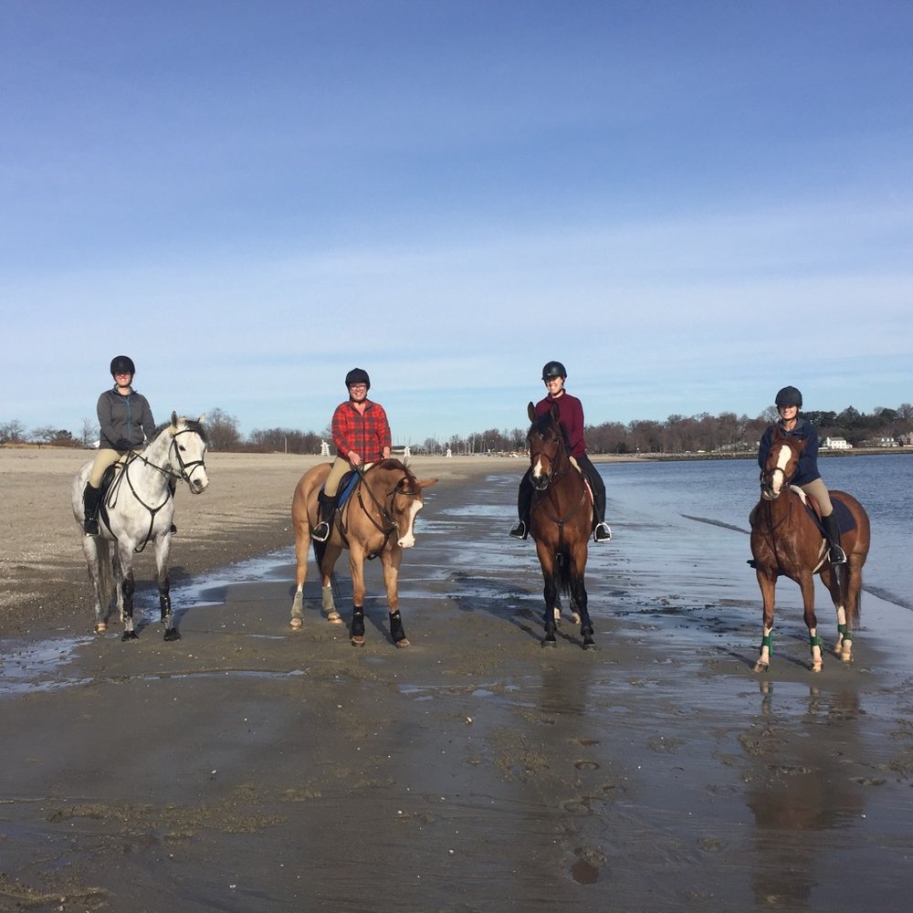 N&C EQUESTRIAN Updated October 2024 24 Photos 422 Sport Hill Rd