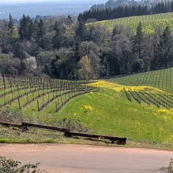 Torii Mor Winery - Its a win win win view - Wine Tasting Room Near Me - Dundee, Oregon Torii Mor Winery - Its a win win win view - Wine Tasting Room Near Me - Dundee, Oregon