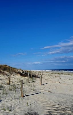 Huntington Beach State Park by null