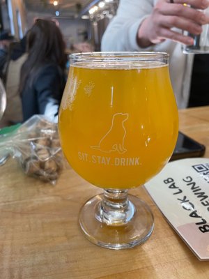 Black Lab Brewing by null