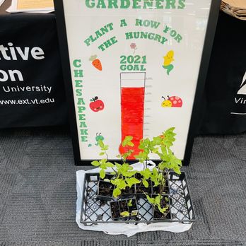 Chesapeake Public Library - Free Basil plants - Libraries Near Me - Chesapeake, Virginia Chesapeake Public Library - Free Basil plants - Libraries Near Me - Chesapeake, Virginia