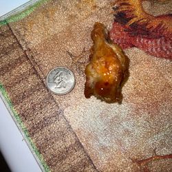 Chicken Wing
