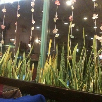 Thai Pepper Restaurant - Decorations on the windows at Thai Pepper - Thai Near Me - Brampton, Ontario