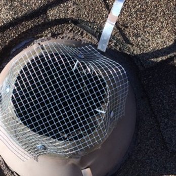 Attic Pros - Pest Control Near Me - Oakland, California