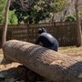 Photo of J&D Landscape And Tree Service