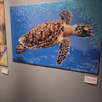 Bishop Museum - Museums Near Me - Honolulu, Hawaii
