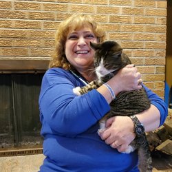 Safford Veterinary Services