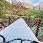 Photo of Outta Here eBikes